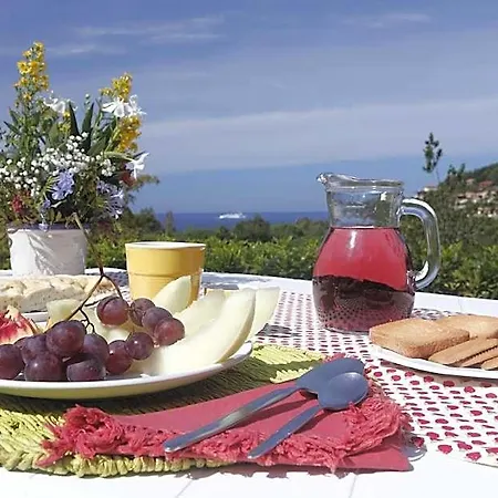 Elba Island Pool & Tennis